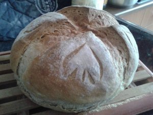 10689644_856937090993592_6811072017023370204_n